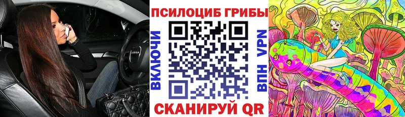 Псилоцибиновые грибы Cubensis  MEGA ССЫЛКА  Искитим 